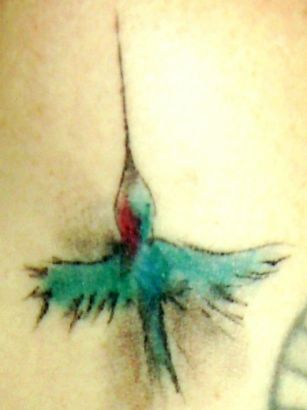 Small Hummingbird Pics Tats